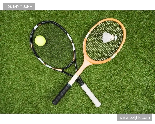 全面解析羽毛球运动技巧规则装备与战略思维的深度解读 全面解析羽毛球运动技巧规则装备与战略思维的深度解读